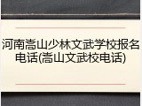 河南嵩山少林文武学校报名电话(嵩山文武校电话)