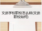 文武学校职校怎么样(文武职校如何)
