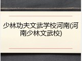 少林功夫文武学校河南(河南少林文武校)