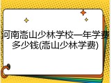 河南嵩山少林学校一年学费多少钱(嵩山少林学费)