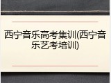 西宁音乐高考集训(西宁音乐艺考培训)