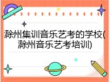 滁州集训音乐艺考的学校(滁州音乐艺考培训)