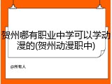 贺州哪有职业中学可以学动漫的(贺州动漫职中)