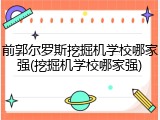 前郭尔罗斯挖掘机学校哪家强(挖掘机学校哪家强)