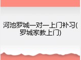 河池罗城一对一上门补习(罗城家教上门)