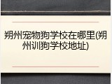 朔州宠物狗学校在哪里(朔州训狗学校地址)