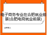 电子商务专业在合肥就业前景(合肥电商就业前景)