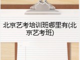 北京艺考培训班哪里有(北京艺考班)