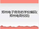郑州电子商务的学校编码(郑州电商校码)