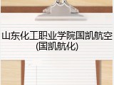 山东化工职业学院国凯航空(国凯航化)