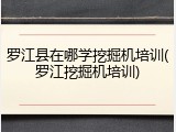 罗江县在哪学挖掘机培训(罗江挖掘机培训)