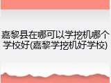 嘉黎县在哪可以学挖机哪个学校好(嘉黎学挖机好学校)