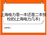 上海电力是一本还是二本技校的(上海电力几本)
