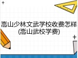 嵩山少林文武学校收费怎样(嵩山武校学费)