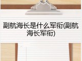 副航海长是什么军衔(副航海长军衔)