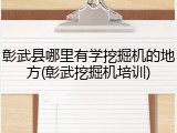 彰武县哪里有学挖掘机的地方(彰武挖掘机培训)
