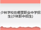 少林学校在哪里职业中学招生(少林职中招生)