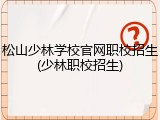 松山少林学校官网职校招生(少林职校招生)