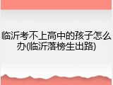 临沂考不上高中的孩子怎么办(临沂落榜生出路)