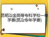 昆明冶金高等专科学校一年学费(昆冶专年学费)