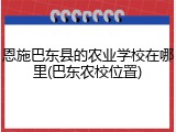 恩施巴东县的农业学校在哪里(巴东农校位置)