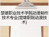 楚雄职业技术学院动漫制作技术专业(楚雄职院动漫技术)