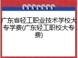广东省轻工职业技术学校大专学费(广东轻工职校大专费)