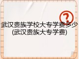 武汉贵族学校大专学费多少(武汉贵族大专学费)