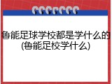 鲁能足球学校都是学什么的(鲁能足校学什么)