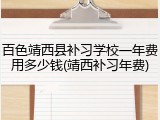 百色靖西县补习学校一年费用多少钱(靖西补习年费)