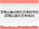 双鸭山集训音乐艺考的学校(双鸭山音乐艺考培训)