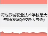 河池罗城农业技术学校是大专吗(罗城农校是大专吗)