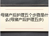 母猪产后护理五个步骤是什么(母猪产后护理五步)