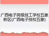 广西电子高级技工学校五象新区(广西电子技校五象)