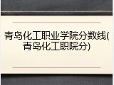 青岛化工职业学院分数线(青岛化工职院分)