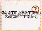 河南轻工职业学院平顶山校区(河南轻工平顶山校)