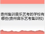 贵州集训音乐艺考的学校有哪些(贵州音乐艺考集训校)