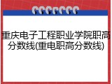 重庆电子工程职业学院职高分数线(重电职高分数线)