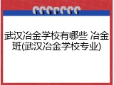武汉冶金学校有哪些 冶金班(武汉冶金学校专业)