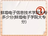 蚌埠电子信息技术学院大专多少分(蚌埠电子学院大专分)