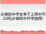 乡镇初中学生考不上高中可以吗(乡镇初中升学选择)
