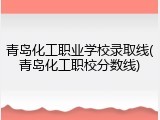 青岛化工职业学校录取线(青岛化工职校分数线)