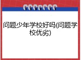 问题少年学校好吗(问题学校优劣)