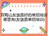 双鸭山友谊县好的单招培训哪里有(友谊县单招培训)