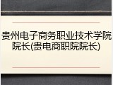 贵州电子商务职业技术学院院长(贵电商职院院长)