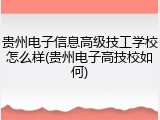 贵州电子信息高级技工学校怎么样(贵州电子高技校如何)