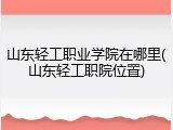 山东轻工职业学院在哪里(山东轻工职院位置)