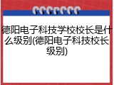 德阳电子科技学校校长是什么级别(德阳电子科技校长级别)