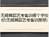 无锡舞蹈艺考集训哪个学校好(无锡舞蹈艺考集训推荐)