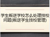 学生叛逆学校怎么处理技校问题(叛逆学生技校管理)